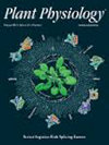 PLANT PHYSIOLOGY雜志封面